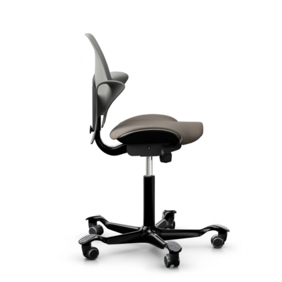 Diş hekimi Taburesi