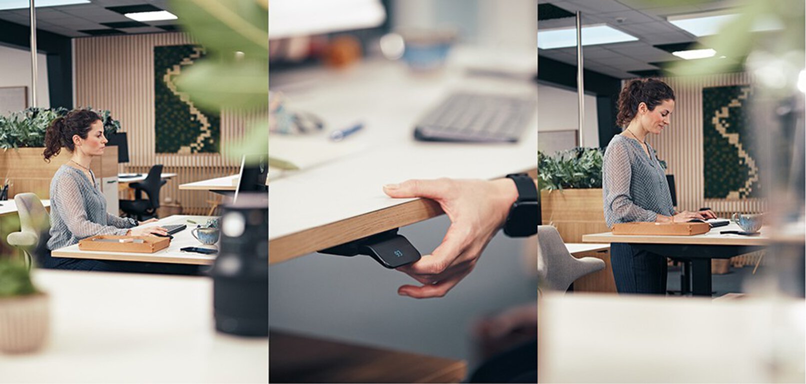 LINAK DL6 PLUS Yüksek Hızlı Elektrikli Masa Mekanizması
