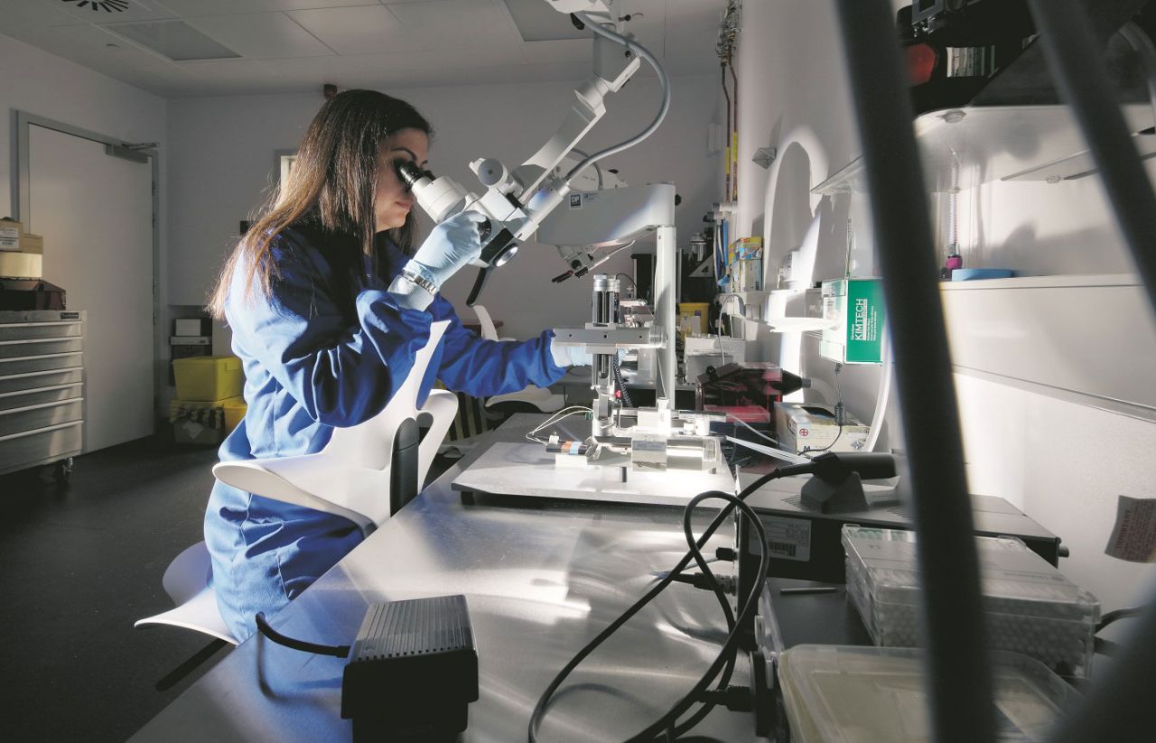 Diş hekimi Taburesi