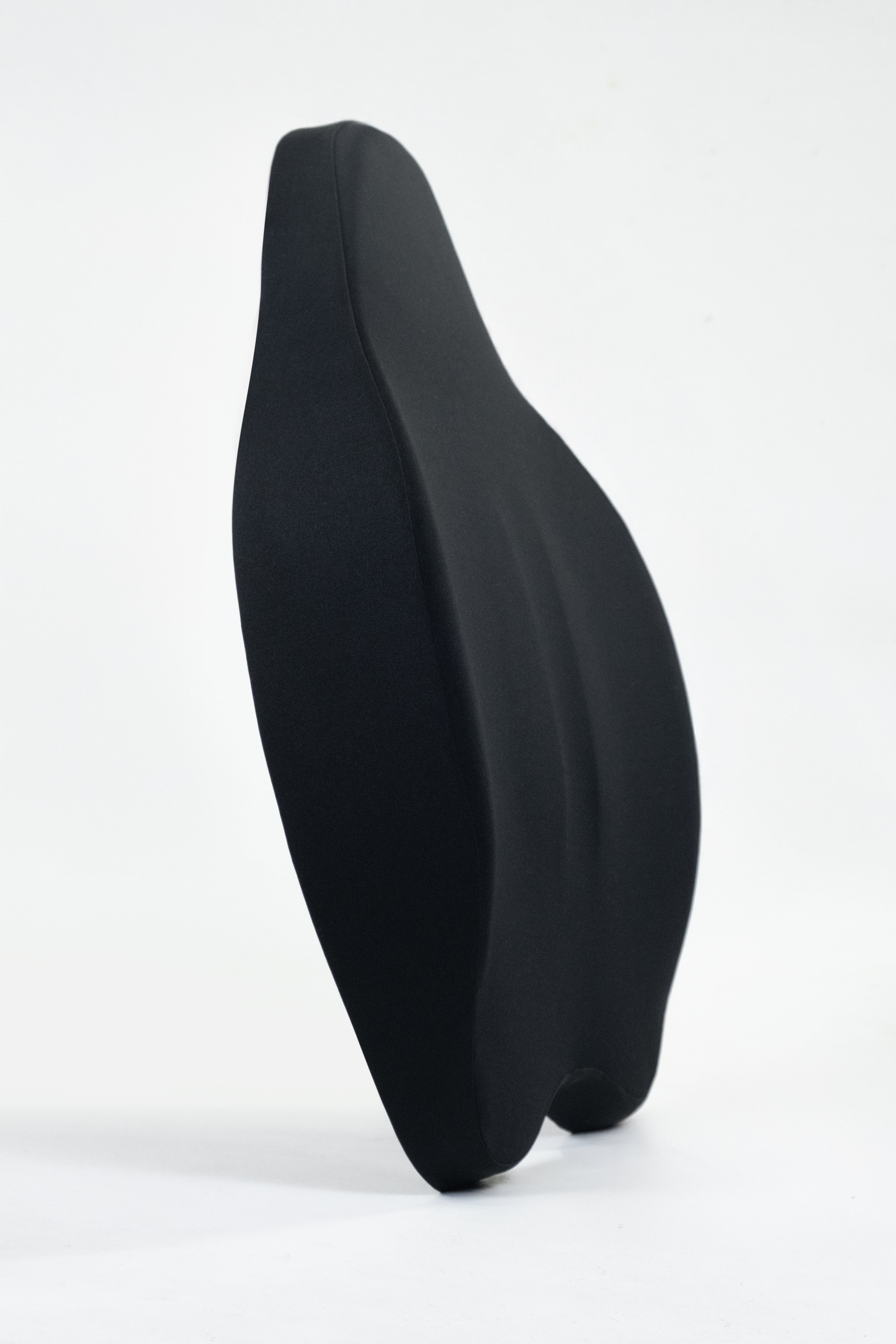 Chiro Visko Bel Sırt Destek Yastığı