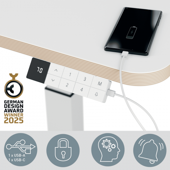 Ergo Elektrikli Yükselebilir Masa