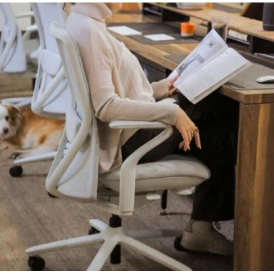 Verde Ergonomik Çalışma Sandalyesi