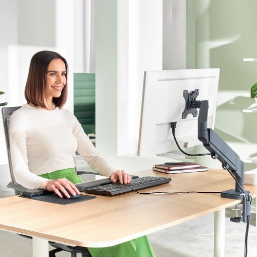 Leitz Tekli Monitör Kolu